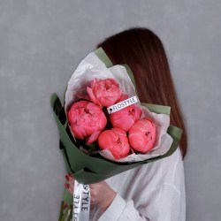 piony koral sharm 5 pionov 433